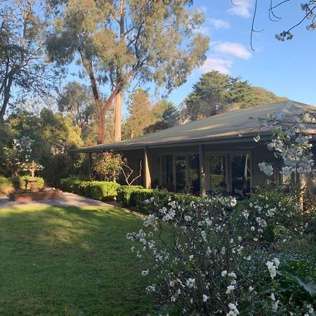 Treetops Bed & Breakfast Blackburn Extérieur photo