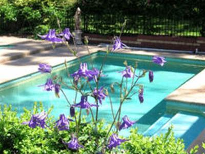Treetops Bed & Breakfast Blackburn Extérieur photo