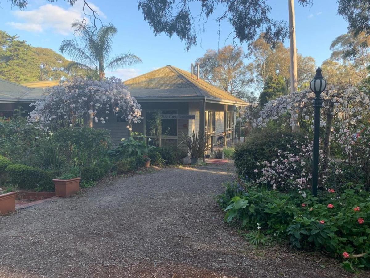 Treetops Bed & Breakfast Blackburn Extérieur photo